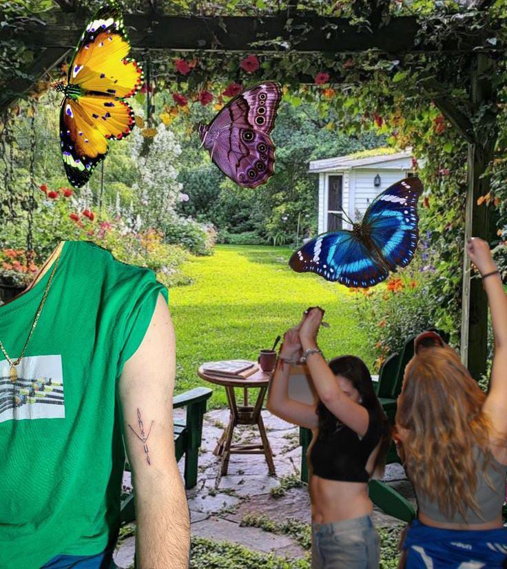 autoconocimiento de la mariposa